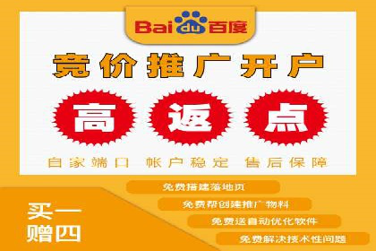 竞价托管sem的胜利果实：某零售商的营销策略